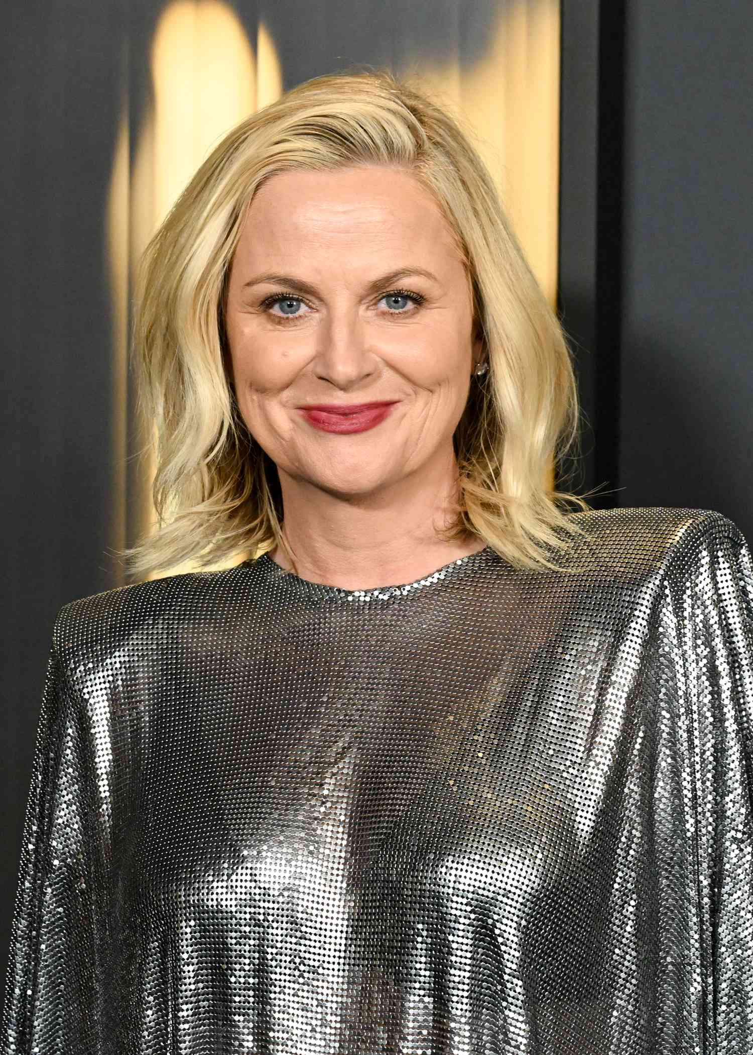 Amy Poehler wearing a long sleeve silver blouse in 2024